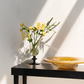 SRM - Black Tulip Goblet-Drinkware- A Bit Sleepy | Homedecor Concept Store